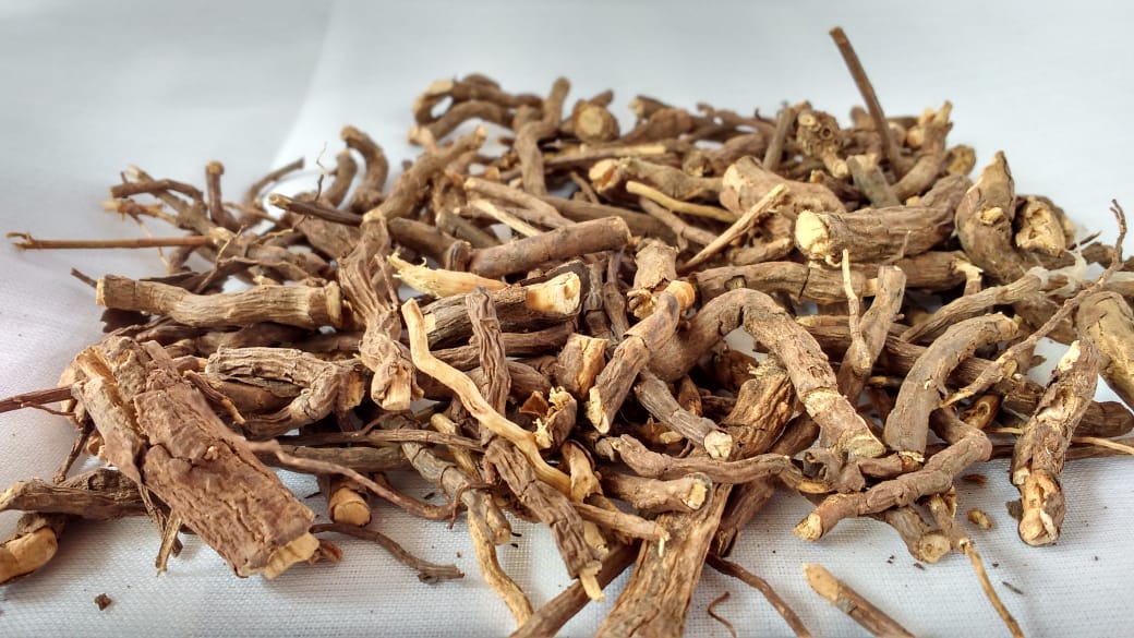 Sarsaparilla Root